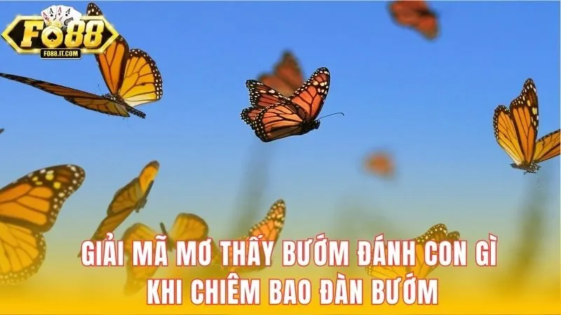Giải mã mơ thấy bướm đánh con gì khi chiêm bao đàn bướm